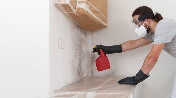 Professional Mold Inspection And Testing technician working in Woodbury Heights, NJ