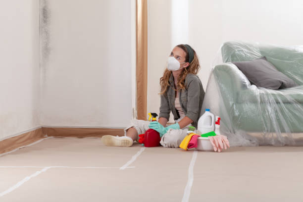Reliable Mold Inspection And Testing contractor in Woodbury Heights, NJ by Car Mold Remediation